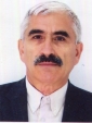 Prof.univ.dr.ing.dipl. Arad Dumitru Victor