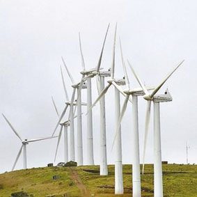 Fotografie