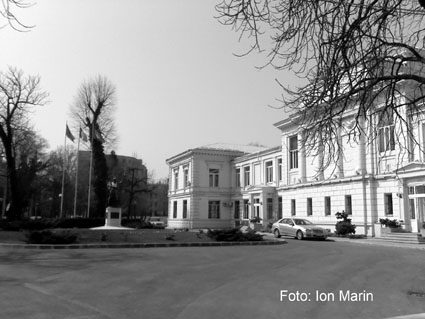 Fotografie