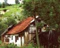 Fotografie